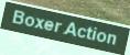 Boxer Action