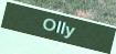 Olly